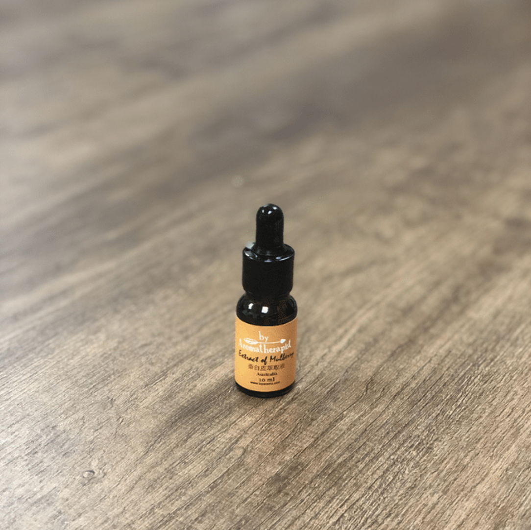 Extract of Mulberry 桑白皮萃取液 (10ml) - Discover Health & Lifestyle Asia