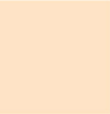 Foundation Base Powder BB霜色粉 (30g) - Discover Health & Lifestyle Asia