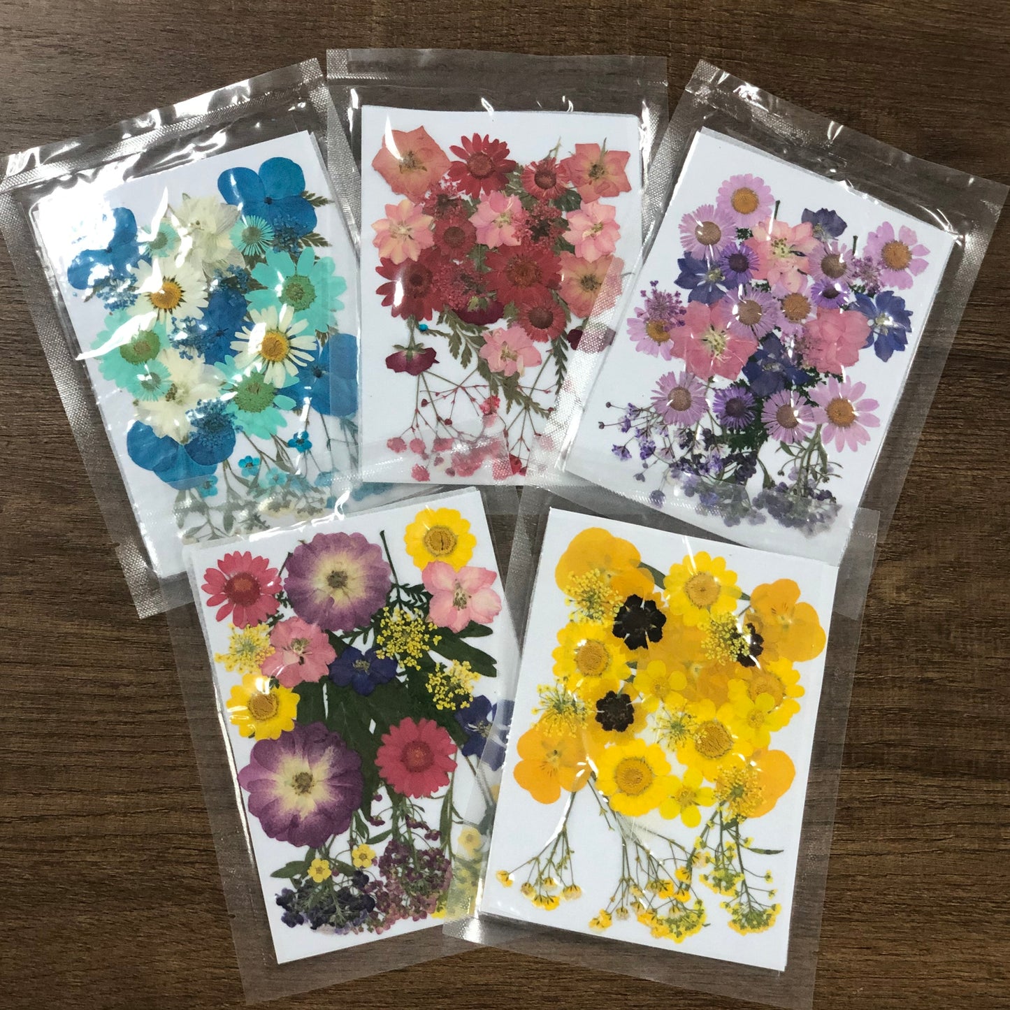 Natural dried flower embossing package 天然乾花壓花組合包
