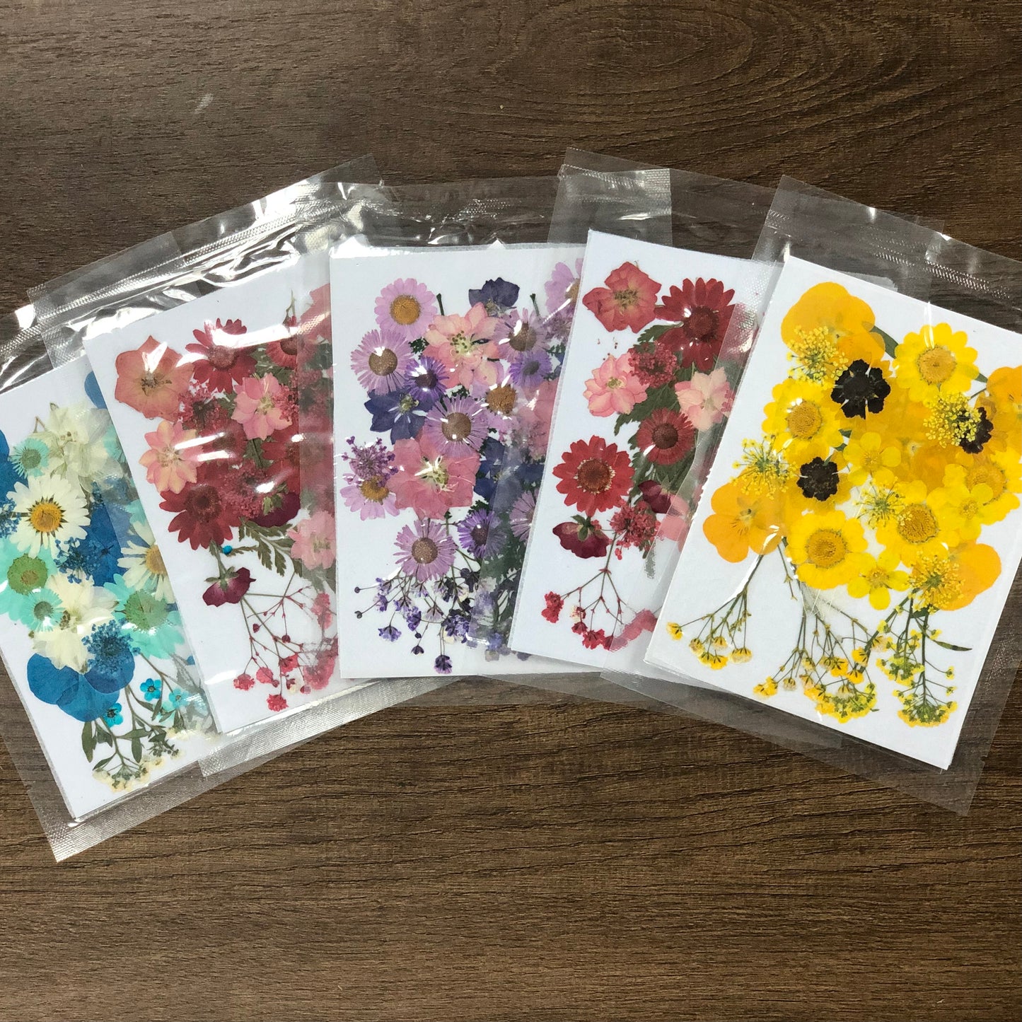Natural dried flower embossing package 天然乾花壓花組合包