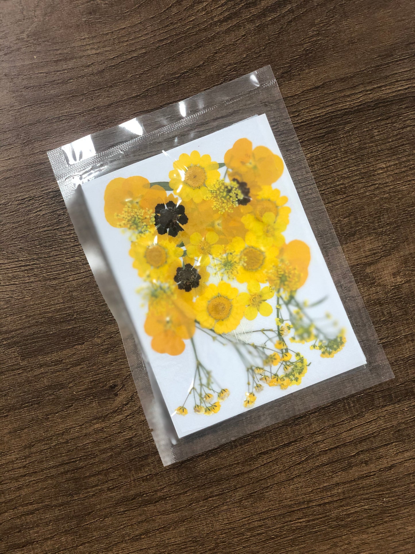 Natural dried flower embossing package 天然乾花壓花組合包