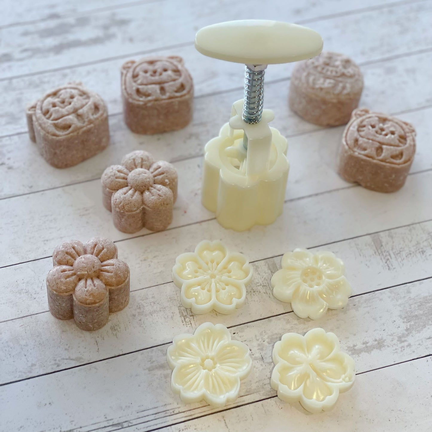 Shampoo Bar mould 洗髮餅模
