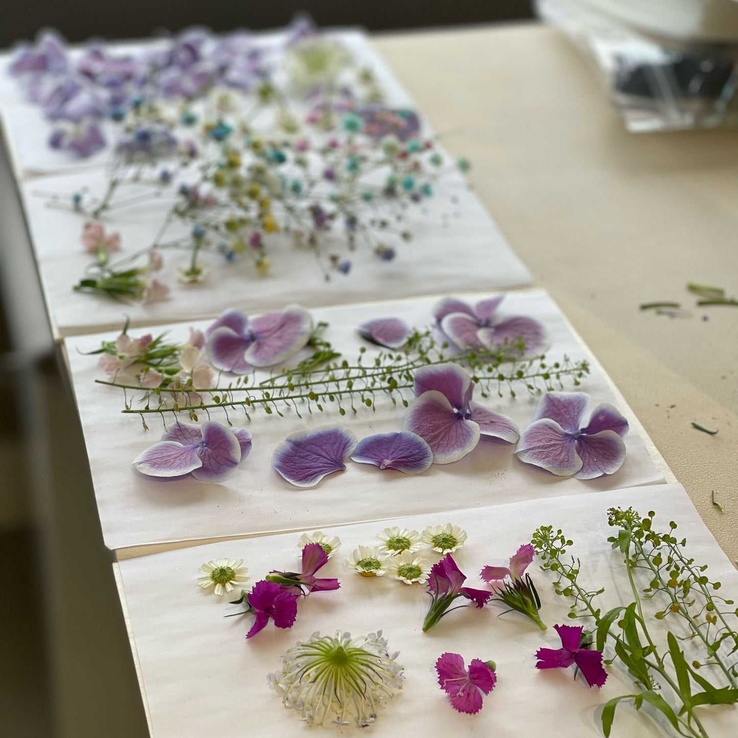 Dried flower embossed board 壓花簿