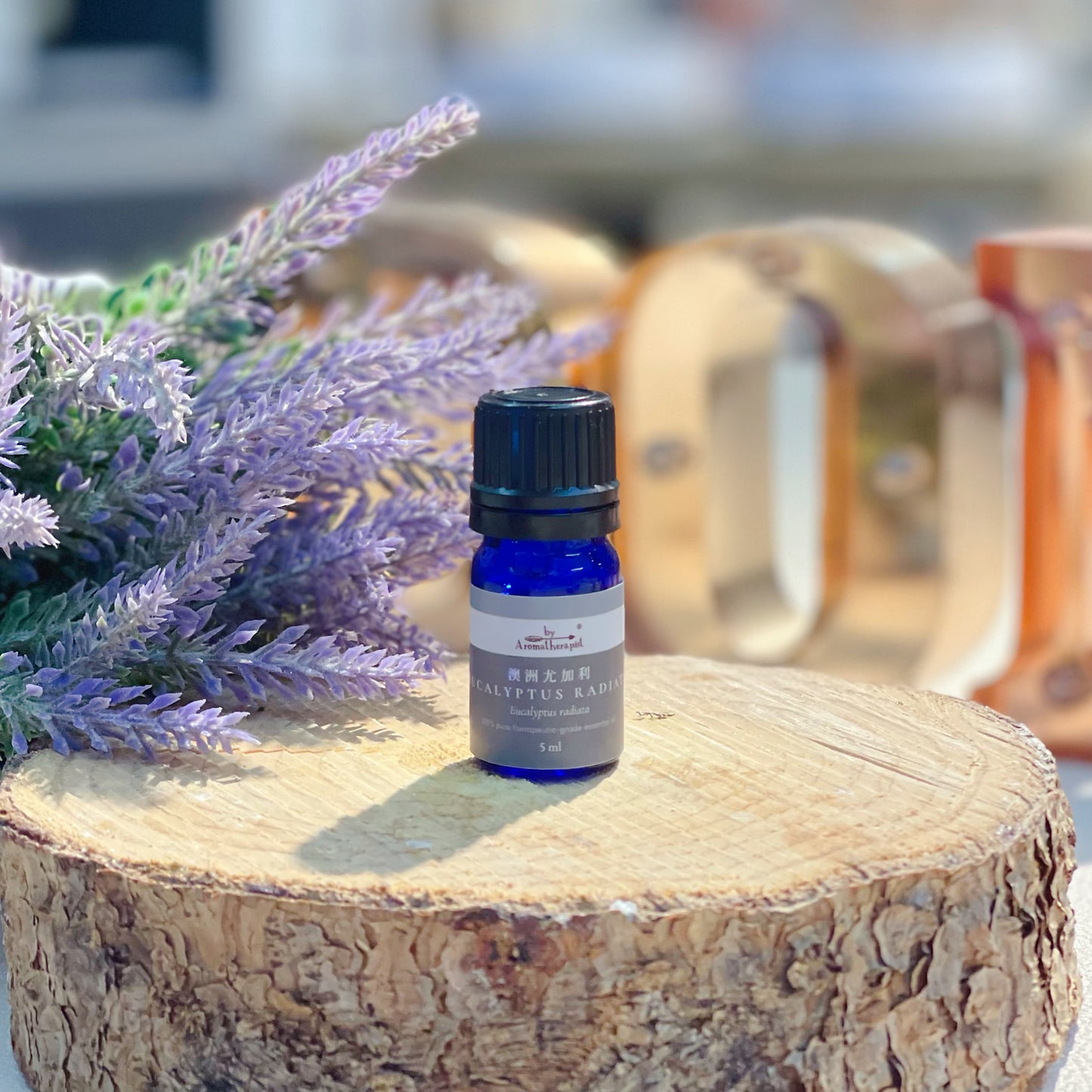 Eucalyptus Radiata Essential Oil 澳洲尤加利精油 (5ml)
