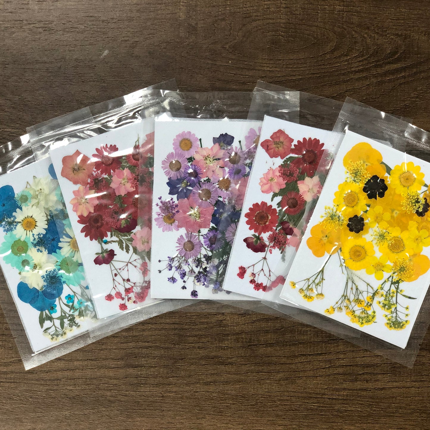 Natural dried flower embossing package 天然乾花壓花組合包