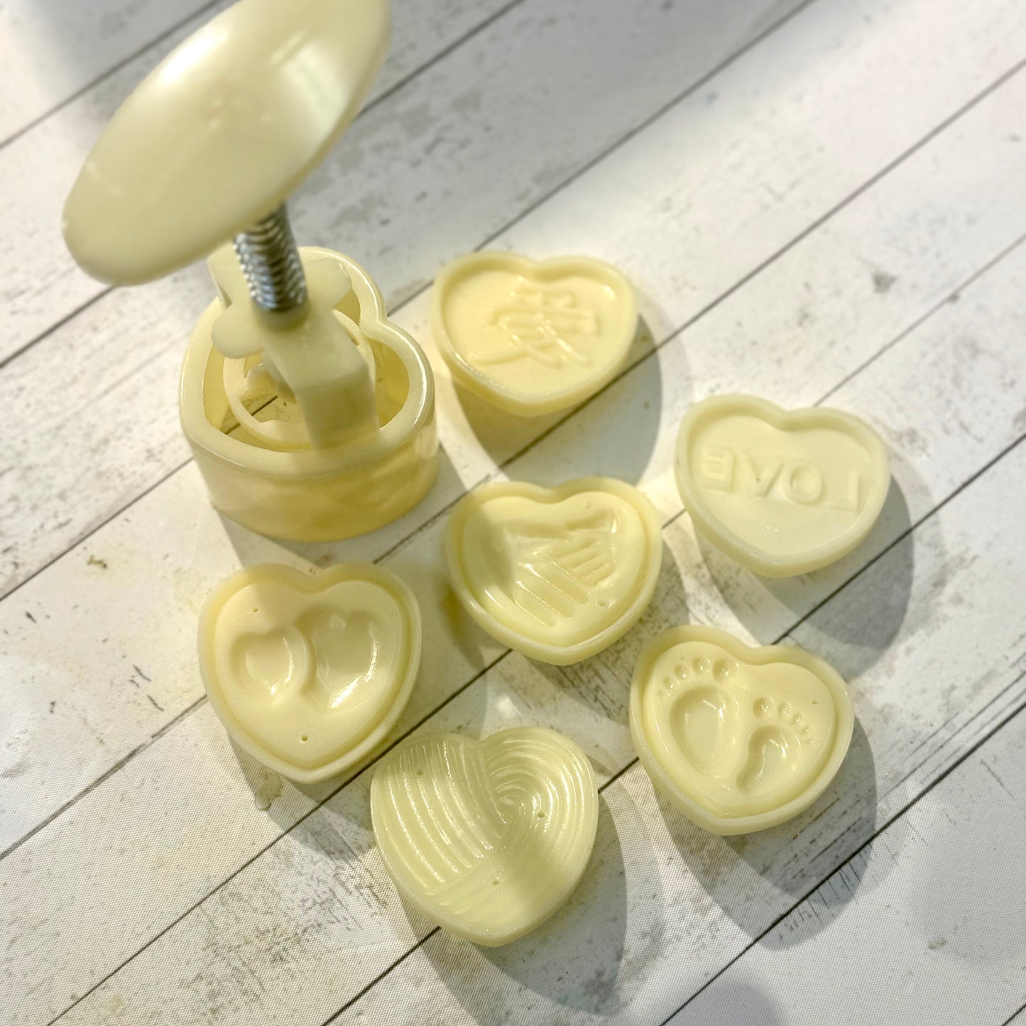 Shampoo Bar mould 洗髮餅模 - Discover Health & Lifestyle Asia