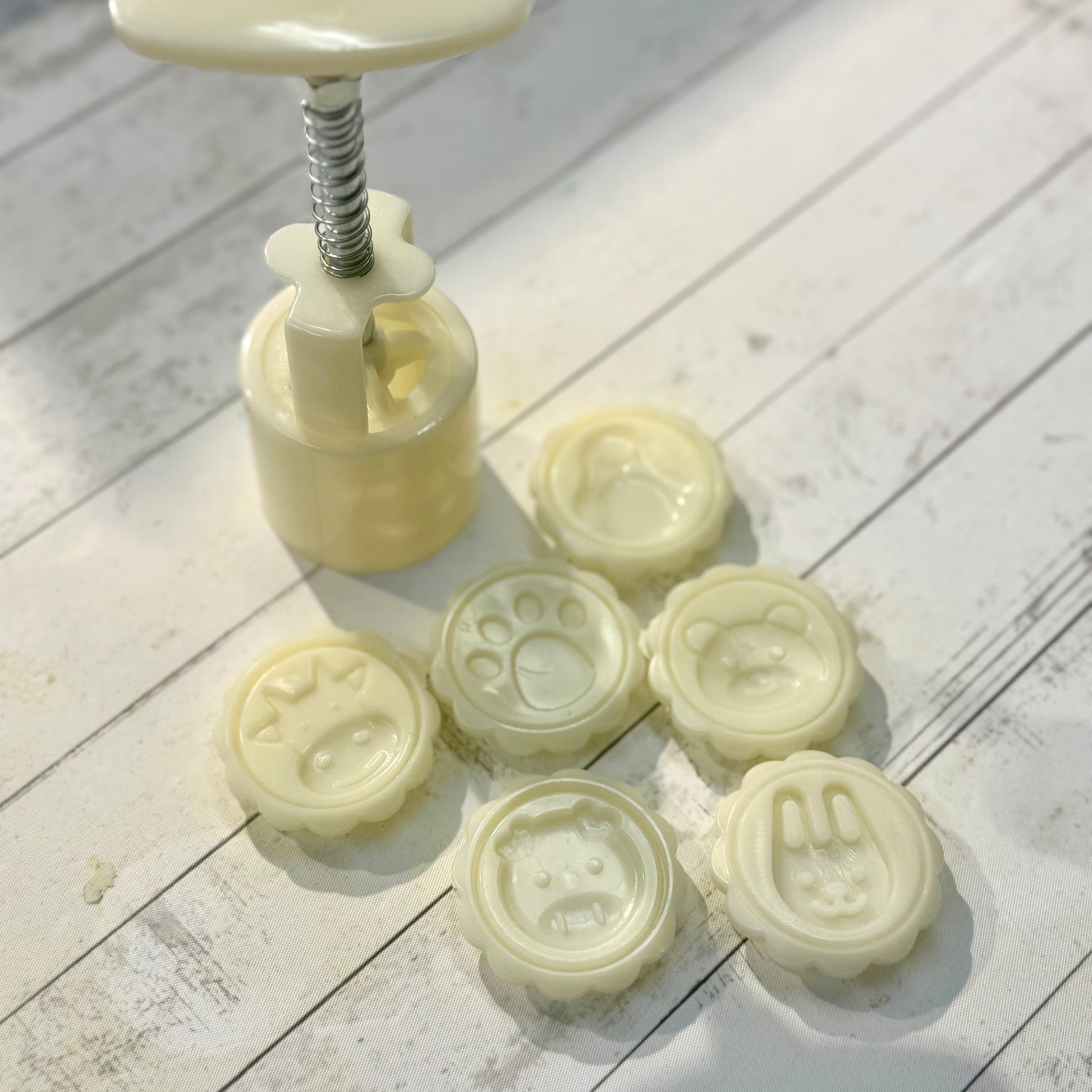 Shampoo Bar mould 洗髮餅模 - Discover Health & Lifestyle Asia