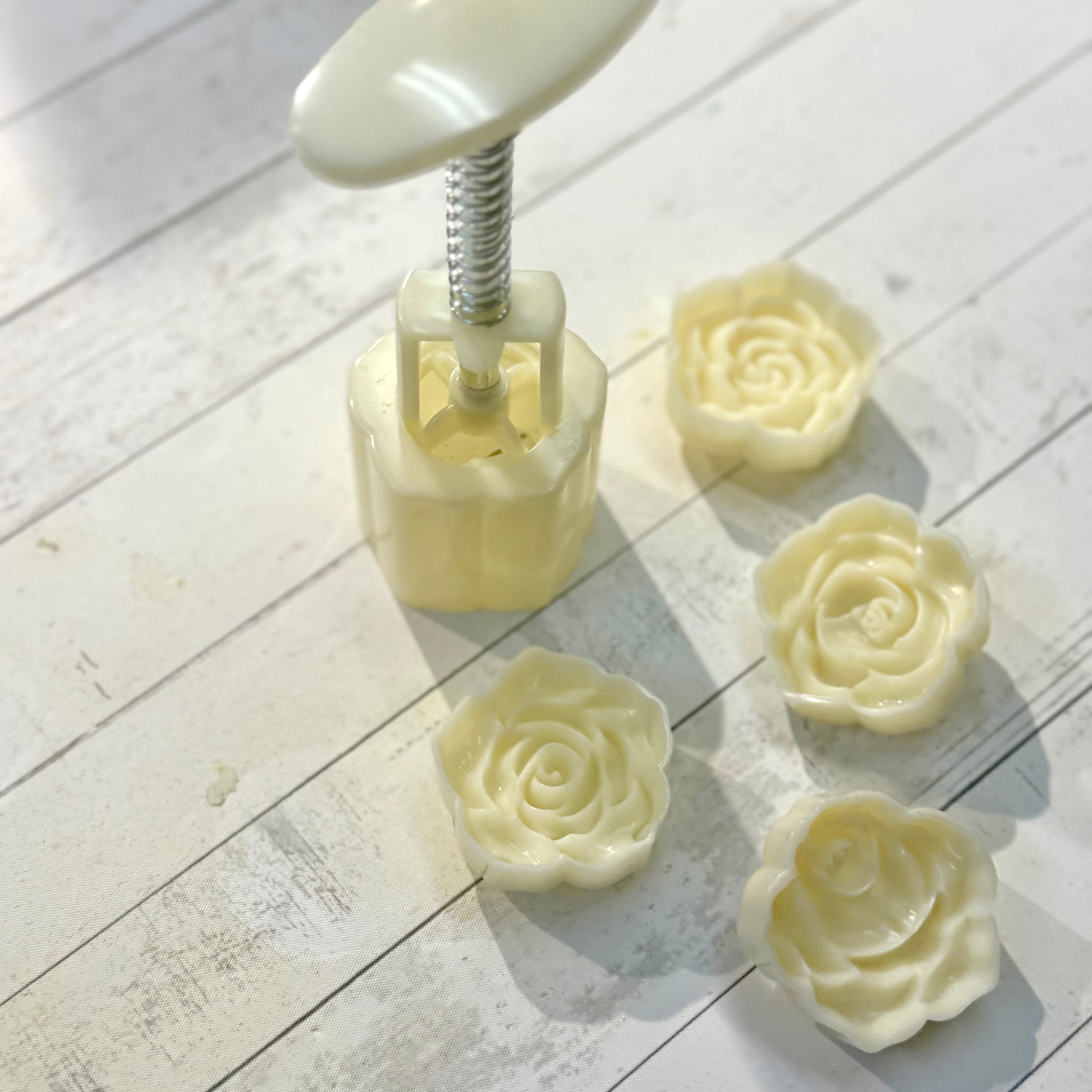 Shampoo Bar mould 洗髮餅模 - Discover Health & Lifestyle Asia