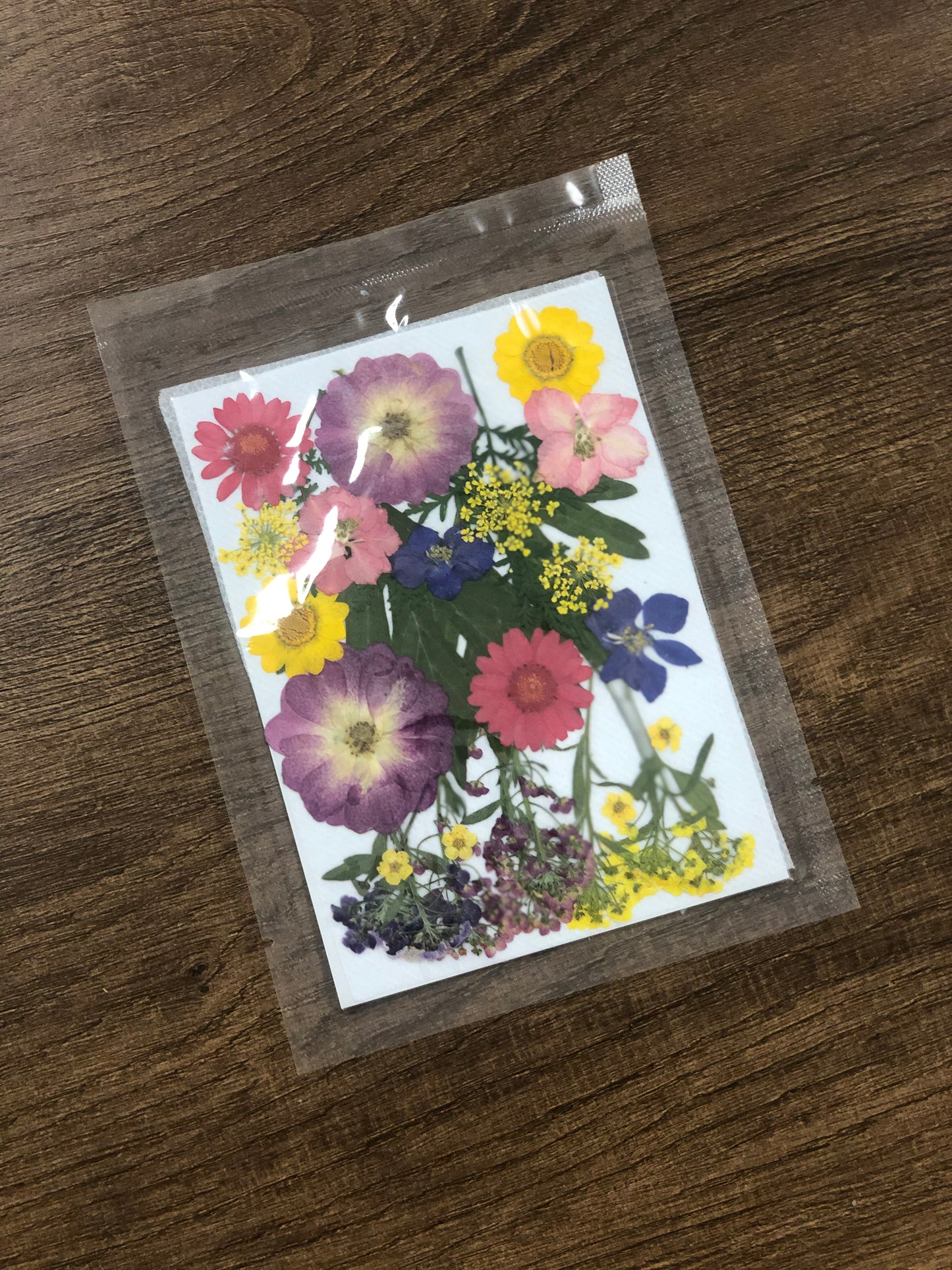 Natural dried flower embossing package 天然乾花壓花組合包